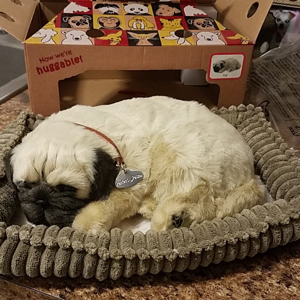 Perfect petzzz